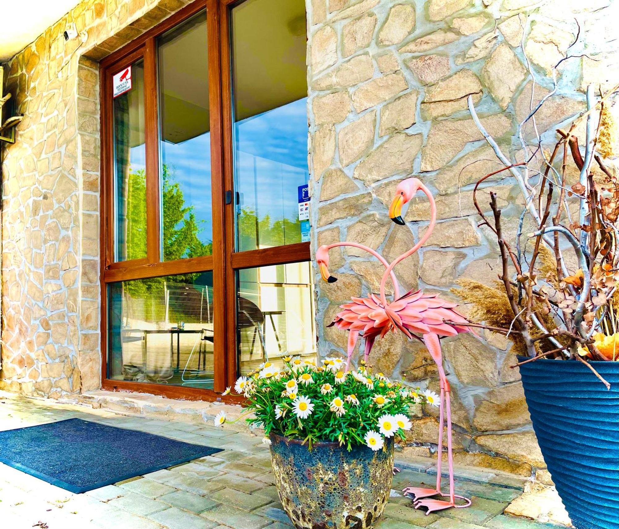 Stefaniya Apartments 索佐波尔 外观 照片